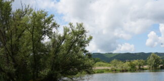 La Riserva Naturale di Posta Fibreno: Un Ecosistema Unico nel Cuore del Lazio