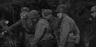 L’Italia cobelligerante con gli Alleati (1943–1945): Riorganizzazione, conflitto e memoria