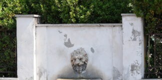 La Bocca di Leone di Via Collatina: Uno Sguardo su Arte, Storia e Urbanistica