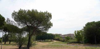 Il Parco Barone Rampante: un laboratorio di rigenerazione urbana nel cuore di Tor Sapienza
