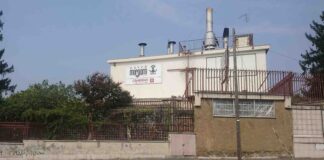 La Torrefazione Morganti di Roma: Tradizione, Innovazione e Cultura del Caffè