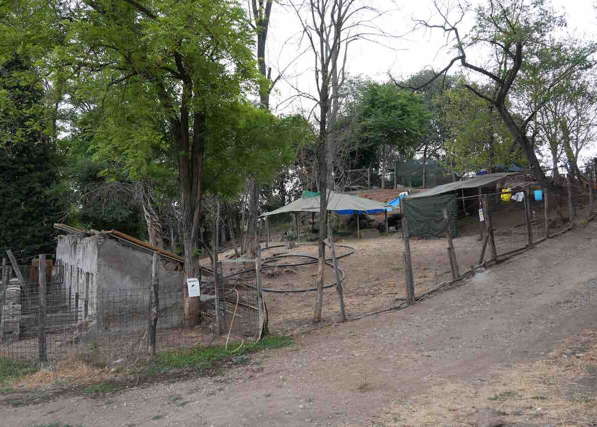 DSC00847
