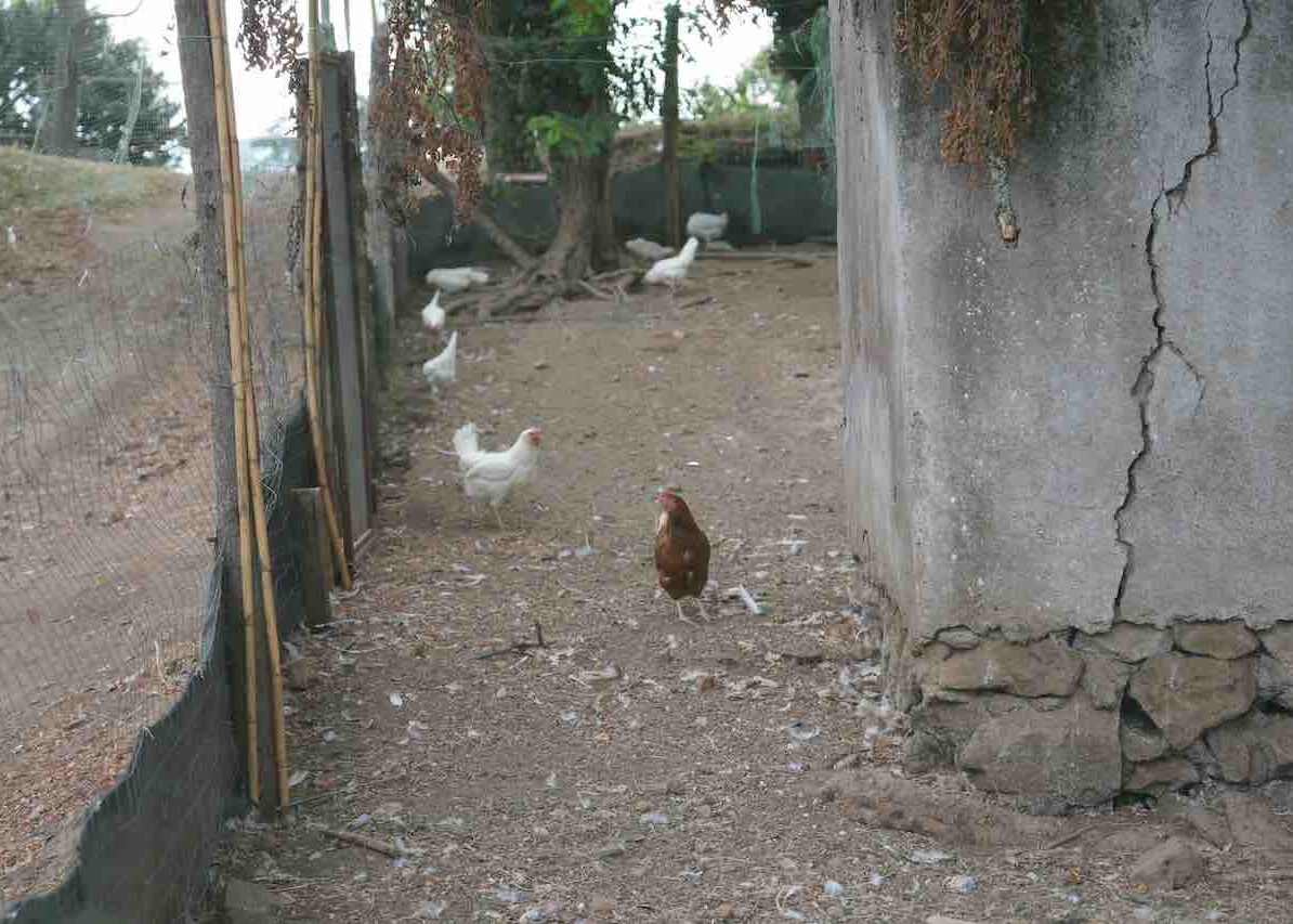 DSC00848