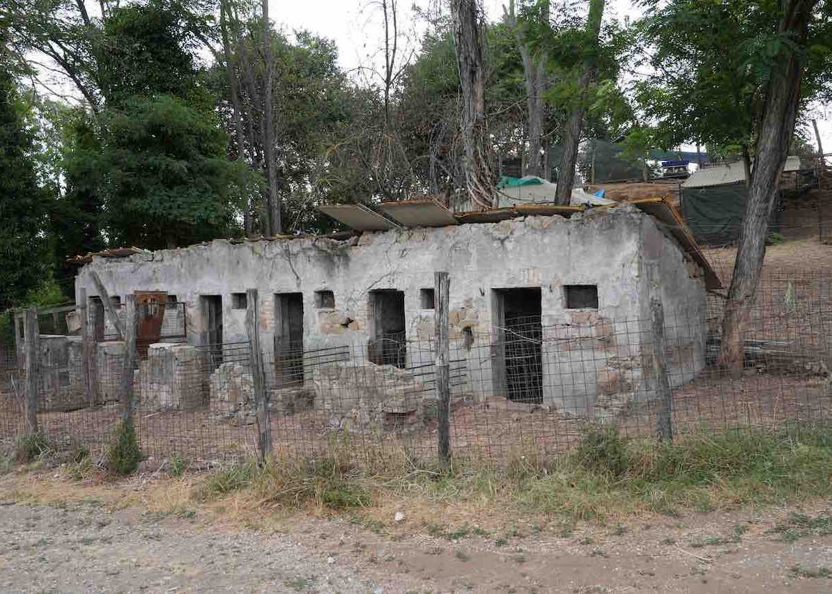 DSC00850