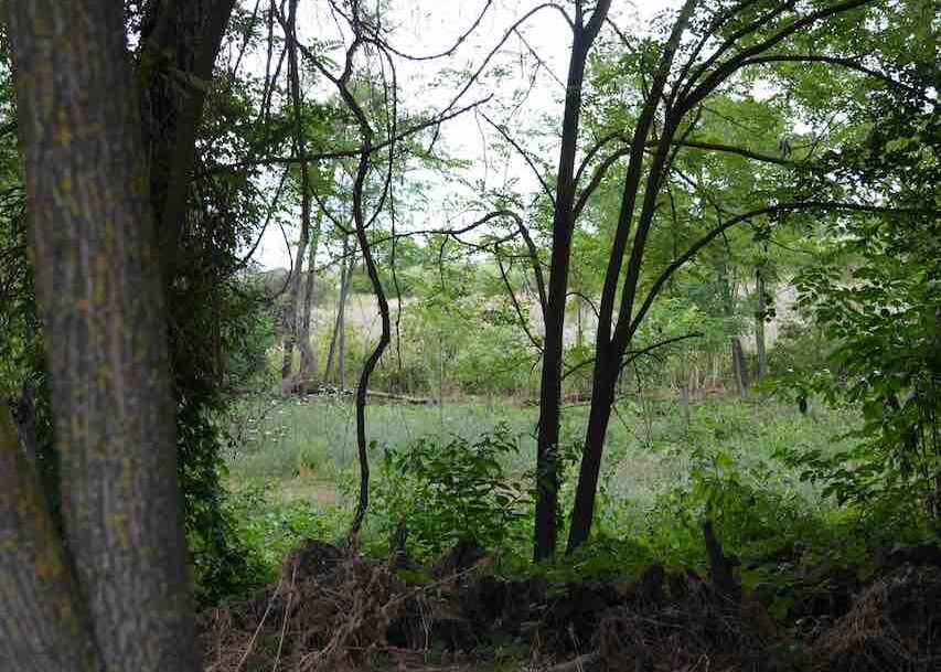 DSC00852