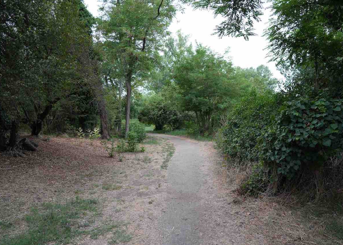 DSC00857