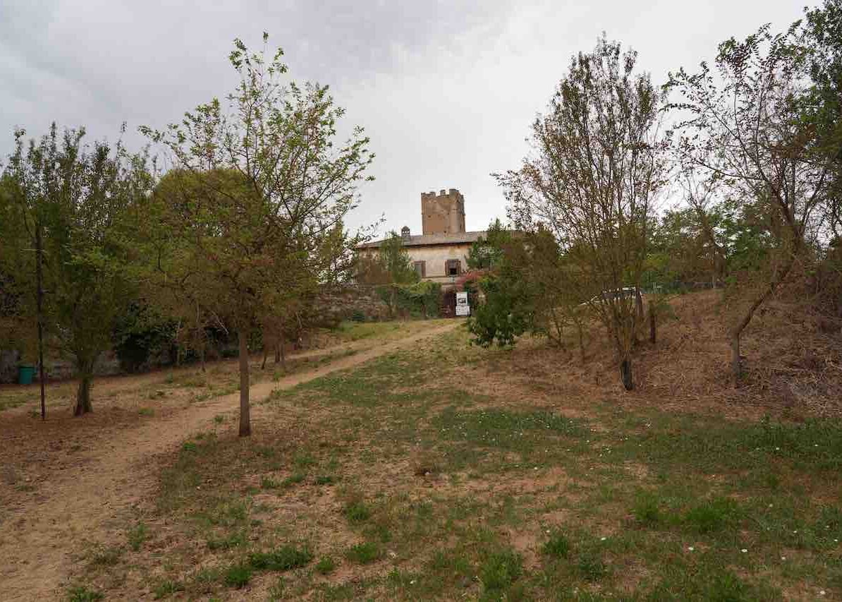 DSC00858