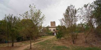 Il Parco della Cervelletta: Storia di un presidio rurale romano tra Medioevo e Età moderna