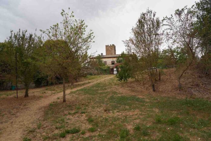 DSC00858