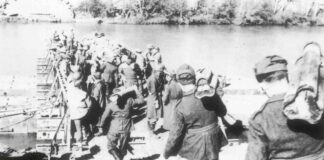 Il ruolo delle Divisioni Ausiliarie nella Guerra di Liberazione (1943–1945): Battaglioni Ferrovieri, Compagnie del Genio e reparti Salmerie