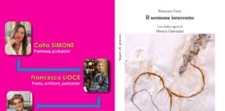 Catia Simone presenta “Vite Parallele poesia” : Il SERMONE INTERROTTO di Francesco Lioce