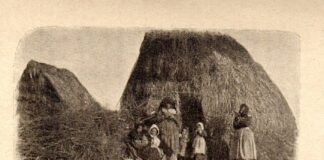 L’Italia Malarica del 1900 Un viaggio tra inchieste sociali (Gustavo Chiesi) e scoperte scientifiche (Grassi e Celli), dove la Public History incontra la storia della salute pubblica per raccontare la lotta contro la malaria.